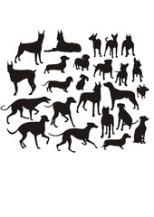 silhouette of the dogs