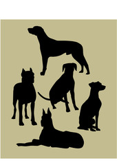 silhouette of the dogs