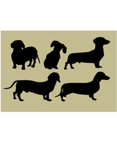 silhouette of the dogs