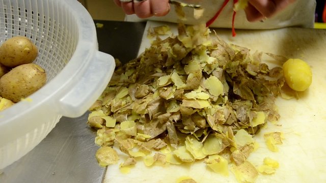 Solanum tuberosum 감자 Картофель 马铃薯