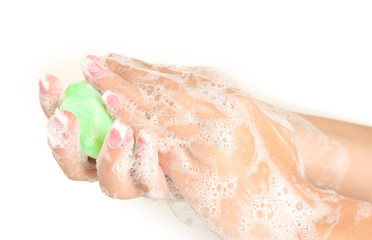 Woman's hands in soapsuds, on white background close-up