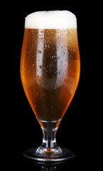 Glass of beer isolated on black