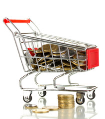 Money in cart isolated on white