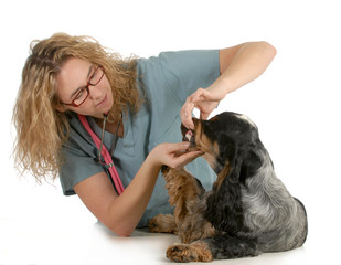 veterinary care