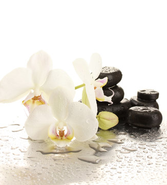 Fototapeta Spa stones and orchid flowers, isolated on white.