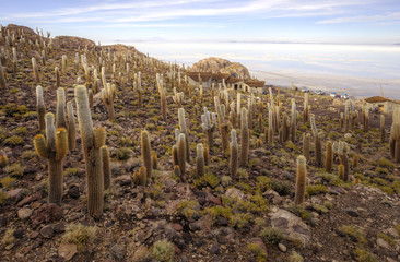 Salar de Uyuni, Bolivia