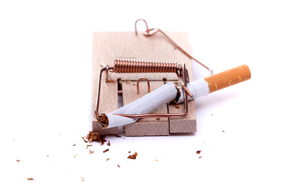 smashed cigarette on mousetrap