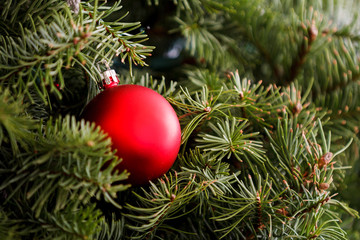 Obraz na płótnie Canvas Christmas ornament is on the treet