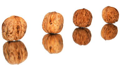 Vier Walnüsse in Linie mit Spiegelung auf weiß