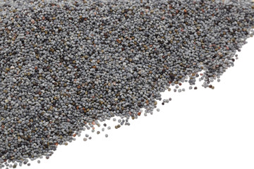Poppy seed