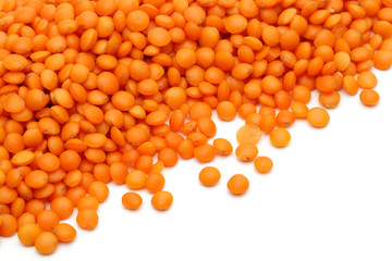 Red Lentil