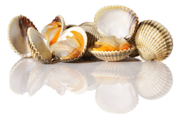 Berberechos al vapor.