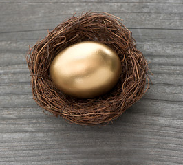 golden easter egg in birds nest