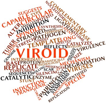 Word cloud for Viroid