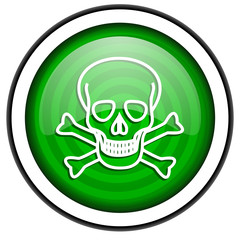 skull green glossy icon isolated on white background
