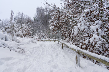 Eine Landschaft im Winter.