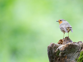 Standing
