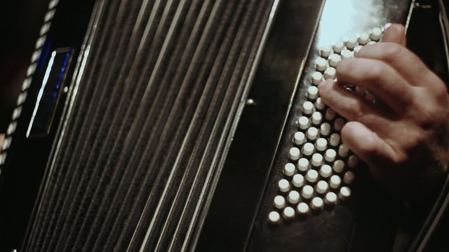 accordion, accordionist