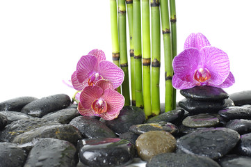 Obraz na płótnie Canvas Spa pebble stones, bamboo stem and orchid flowers