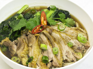 Duck noodle asia