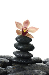 Obraz na płótnie Canvas Spa concept- stack of stones and orchid