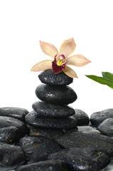 Fototapeta na wymiar Spa concept –stack of stones and orchid