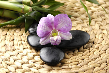 Pink orchid and black stone with bamboo in spa resort