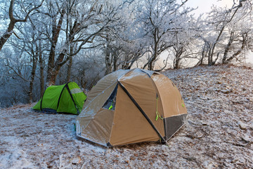 touristic camp in a winter forest