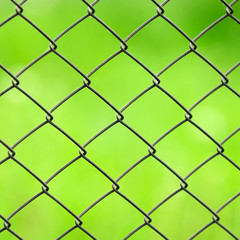 Wire Mesh Fence Close-Up on Green Background