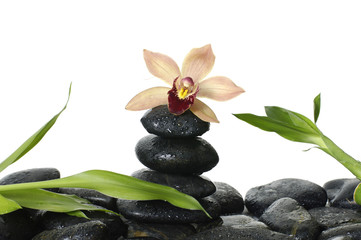 Obraz na płótnie Canvas Martwa natura z orchidei