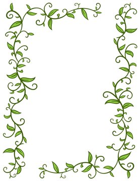 vine border design