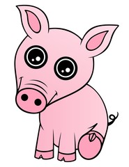 Baby Piglet