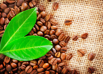 Obraz premium coffee