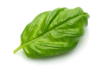 Fresh Basil