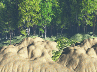 Green forest, nature background