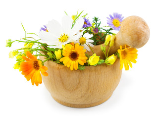 Fresh flowers in mortar isolated on white background