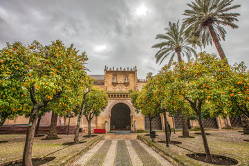 Fototapeta premium Mosque-Cathedral of Cordoba, Spain.