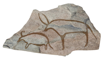 Buffalo . Old ancient petroglyph