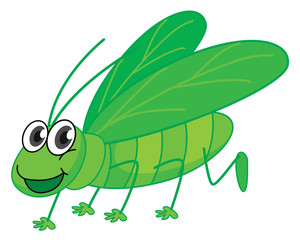 A smiling grasshopper