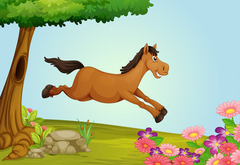Un cheval qui saute
