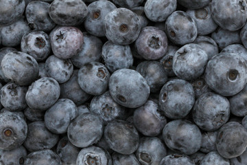 Ripe blueberry. Background