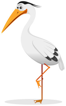 Cartoon Heron Bird