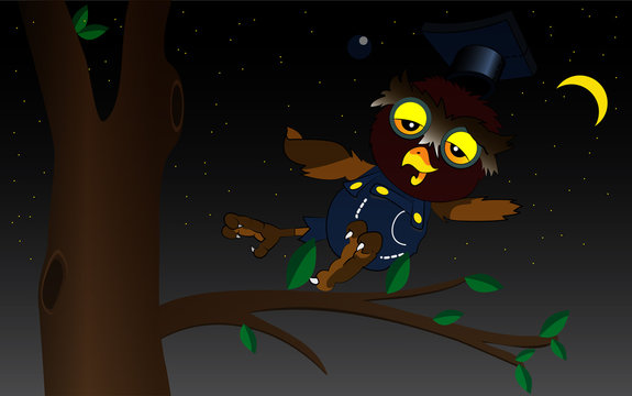 Illustration of cartoon owl at night, vector