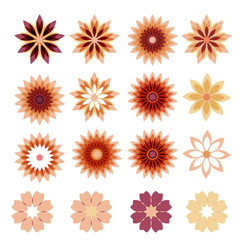 Beautiful floral background, vector