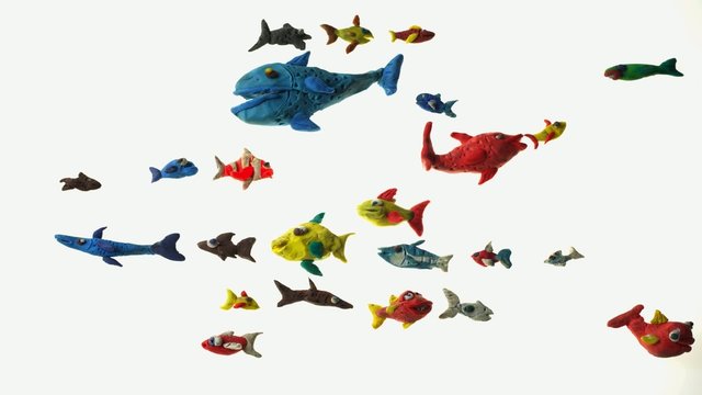 colorful tropical fish stop motion animation
