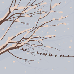 Winter background