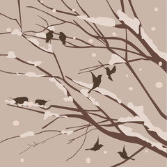 Winter background