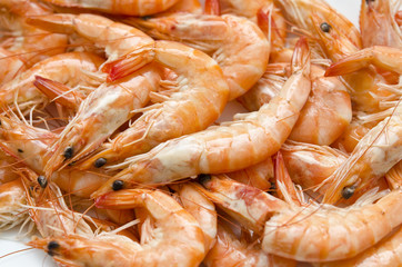 Shrimp texture