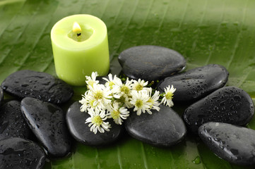 Fototapeta na wymiar Martwa natura z zielonym świec i białe kwiaty i kamienie