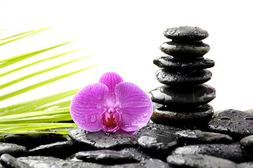 Fototapeta na wymiar Spa Martwa natura z kamiennej wieży i orchidei i liści palmowych